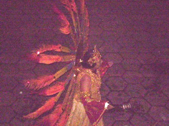 carnaval-tocos-2009-9.jpg