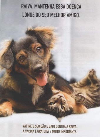 Atenção proprietários de Cães e Gatos de Bom Repouso!!! – TRIBUNA POPULAR